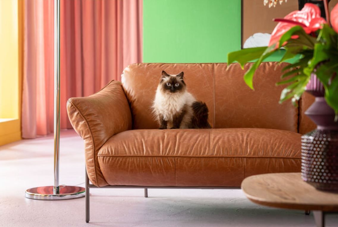 Kare Ledersofa Napa