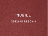 Nobile 23-40 Begonia