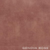 Genova Rose